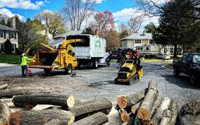 Best Aeration Services  in Elk Grove, CA